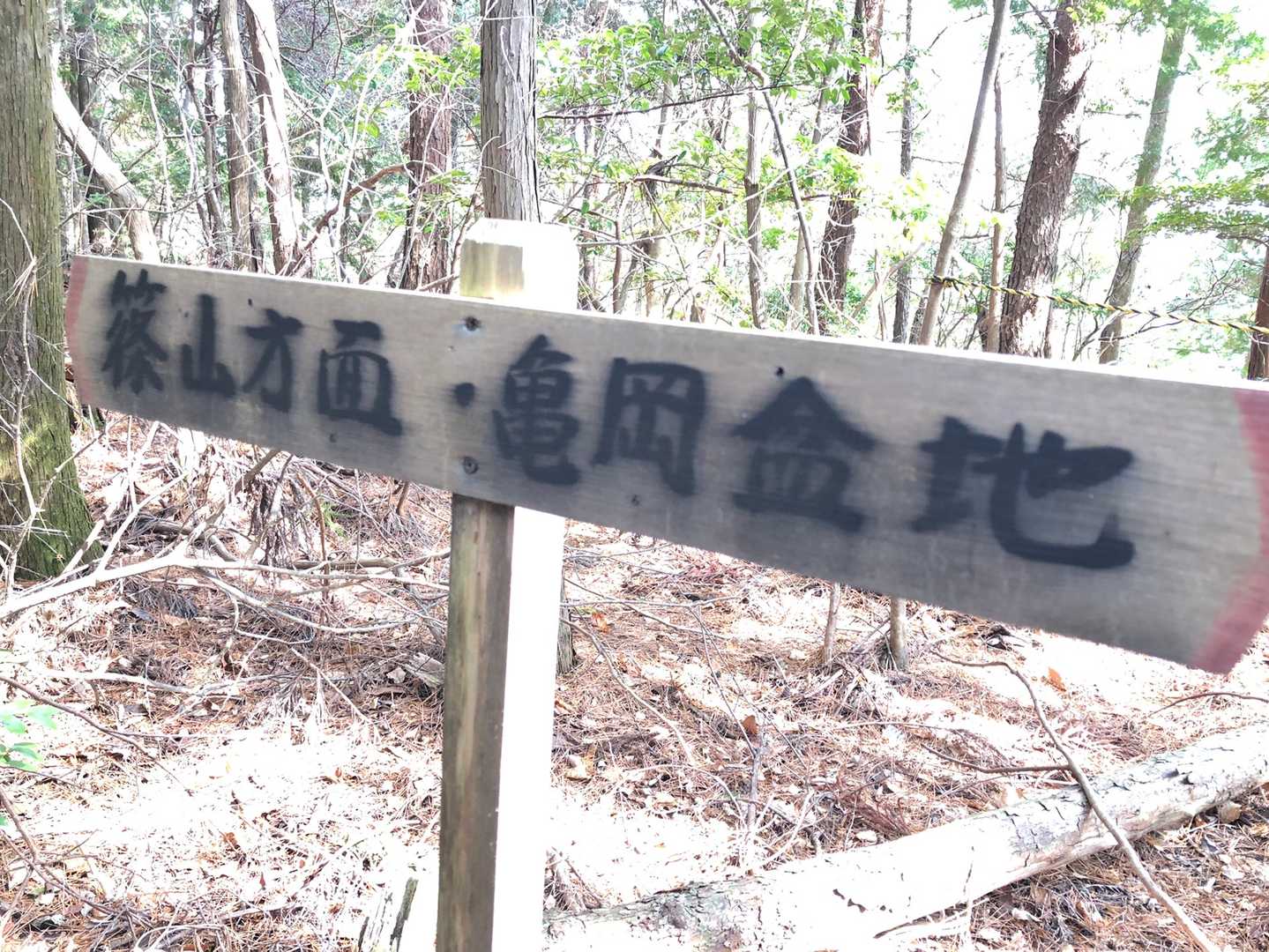 です。