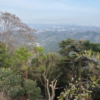 ケーブルカー乗場付近からの眺望