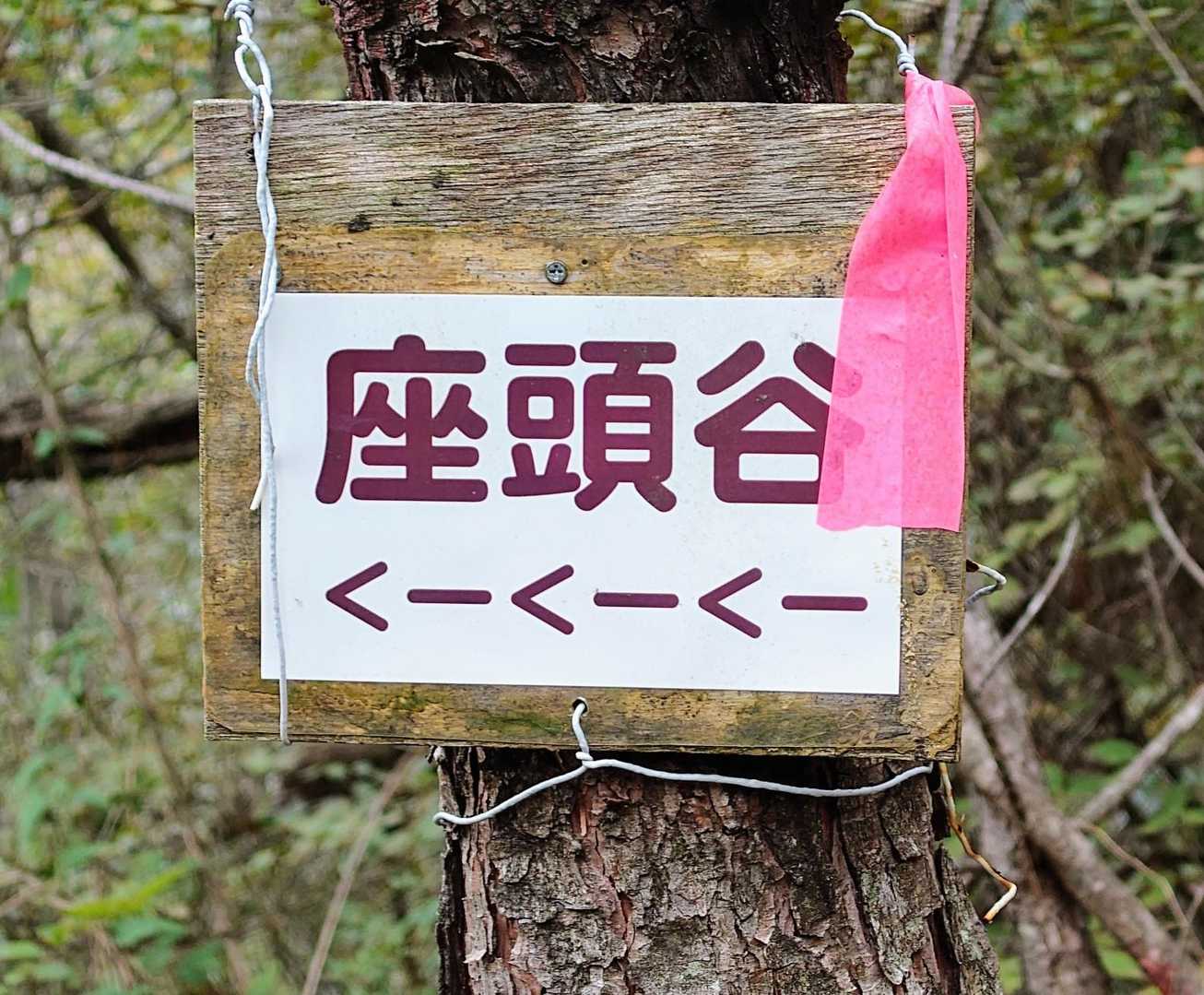 くーくーくー？