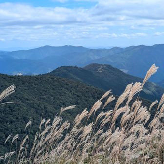 段ヶ峰山頂より達磨ヶ峰方面
今日は双耳峰:千ヶ峰もクッキリと