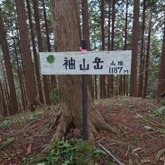 袖山岳山頂