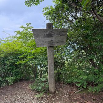 笹山(西峰)山頂到着しました
眺望はありません
次に笹山(乳房山)に行きます