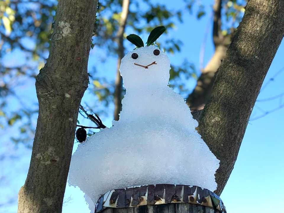 楽しそうな雪だるま⛄️🎶
