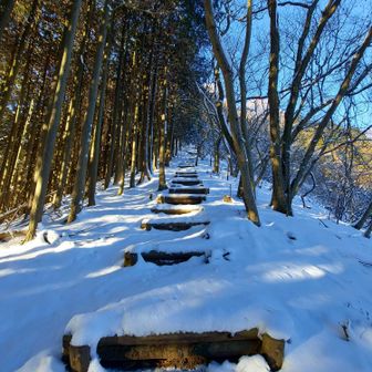 川越山への直登
