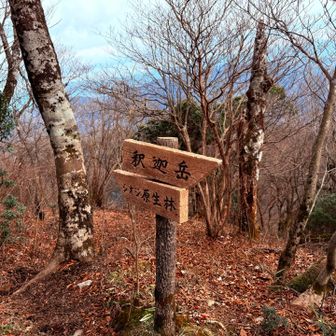 釈迦岳に向かいまーす