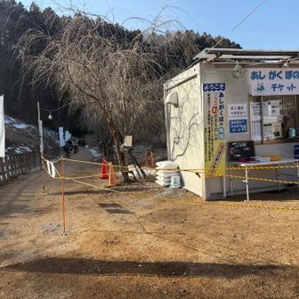 線路の横に出る瞬間…気が緩んで凍った登山道で思い切り転んだ…思わず手を着いてしまい肘関節が痛い…