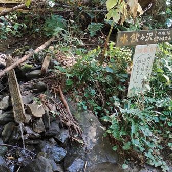 水飲み沢（飲めません）。本日の一番のお気に入りポイント。