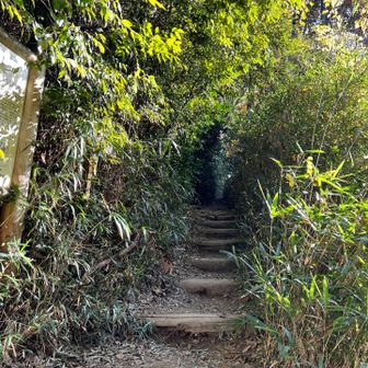 後は、どんどん下るだけです🤗