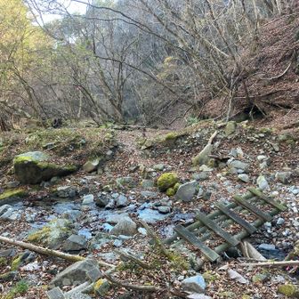 こちらの道は行きルートに比べるとあまり整備されてない感じがある
まぁ橋なくても渡渉できるけど