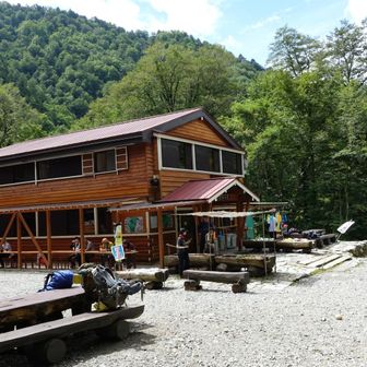 締めはワサビ小屋でソーメンかな