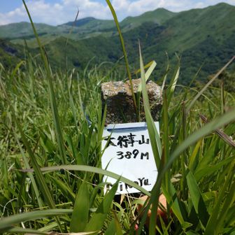 大行事山▲389m　途中の藪掻きがヤバかった〜😓😤