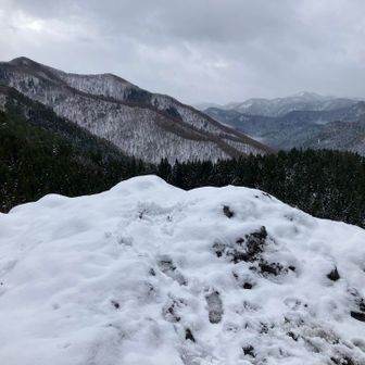 今日は先が長い。今度はゆっくり来たい
例の気になる音が今度はアオバトの道方向からしています
