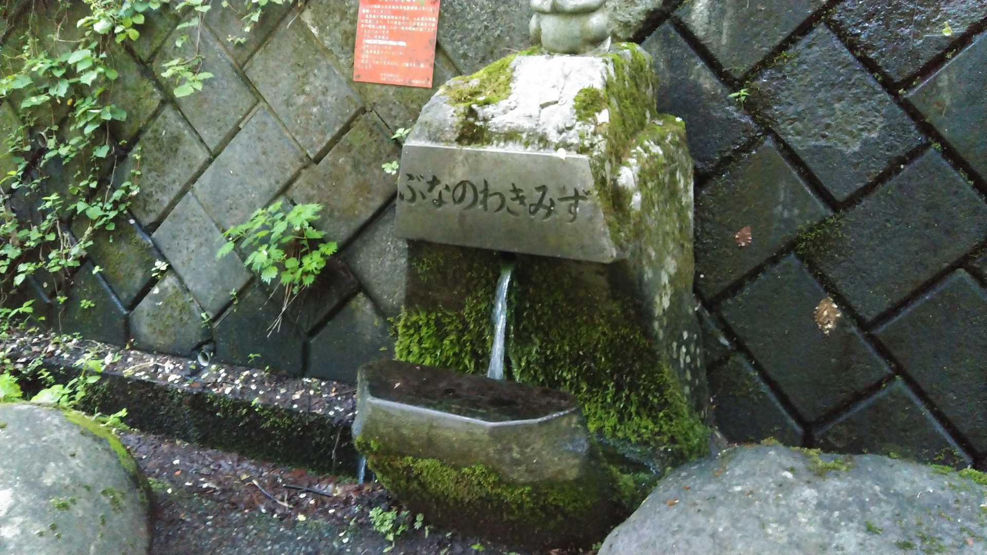 湧き水スポット👀