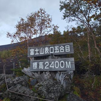 行ってきます