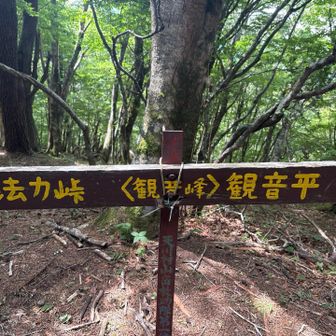 ピーク