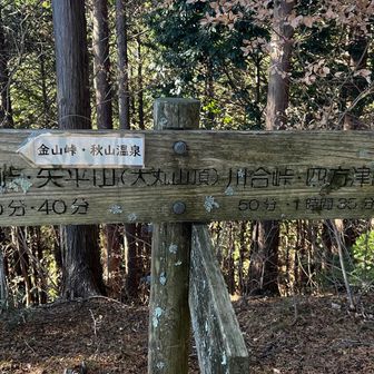 1ピーク目。分かりづらいです。