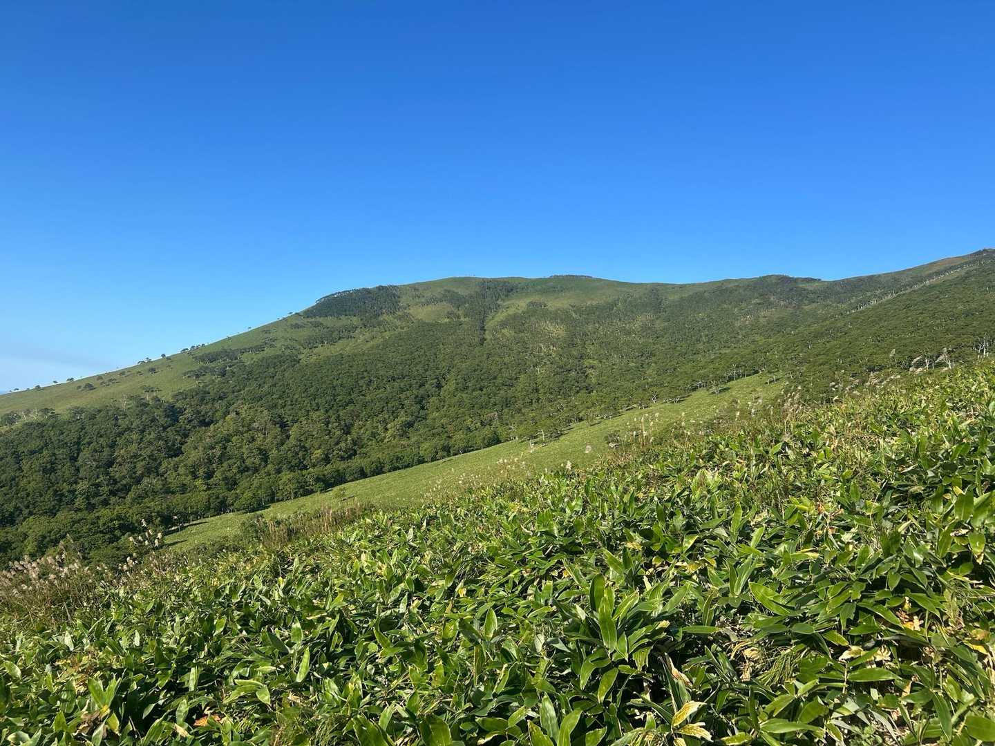 リスケ山-西別岳-摩周岳 往復コースの写真