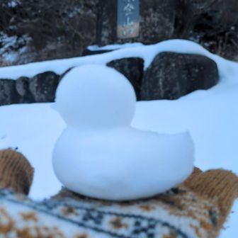 ヒヨコ愛する会の
会長のヒヨコ

素朴な疑問

なんでヒヨコ🐤(←このイラストもそう)
左向けて置いてしまうのか