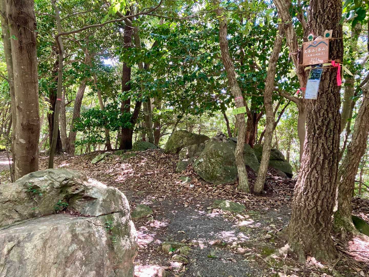 眺望はないが木陰で風もあったので涼める☺️
ここまで来るまでも、きつい階段の昇降があったので暑かった🫠