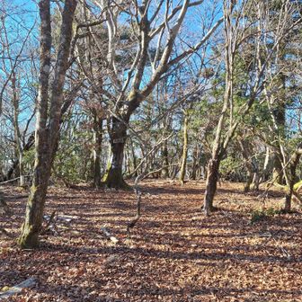 途中急登でしたが…