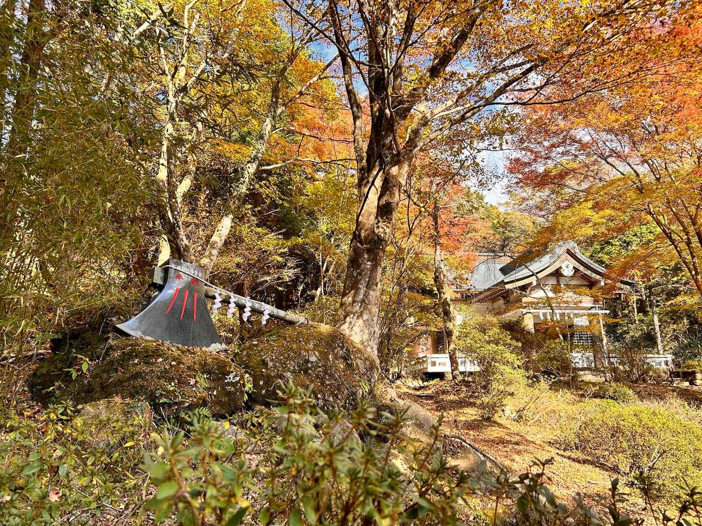 公時神社登山口-金時山-金時山登山口-金時登山口バス停 縦走コースの写真