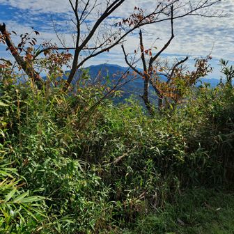 大和葛城山と金剛山⛰️🗻