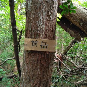 蟹足岳へ向かう途中で前岳登頂🎵眺望🈚
ココから八方ヶ岳に引き返します🚶