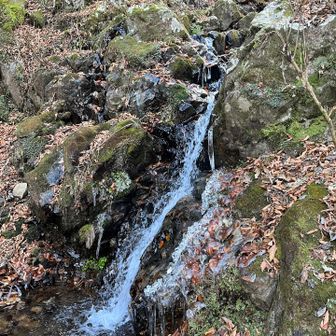 沢沿いのルートです
沢には氷が❄️