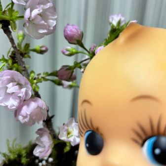 はる