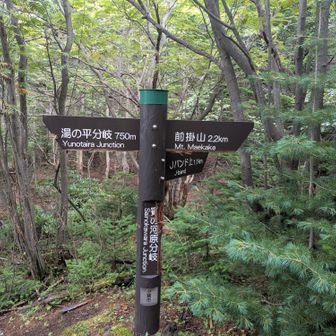 Jバントとの分岐。