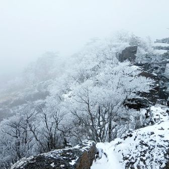 さらさらな雪が風で舞う
雪は１０cmくらい積もっていた。
タニヤンさんと歩いたあの日と同じようだったがあの日は風はなかった