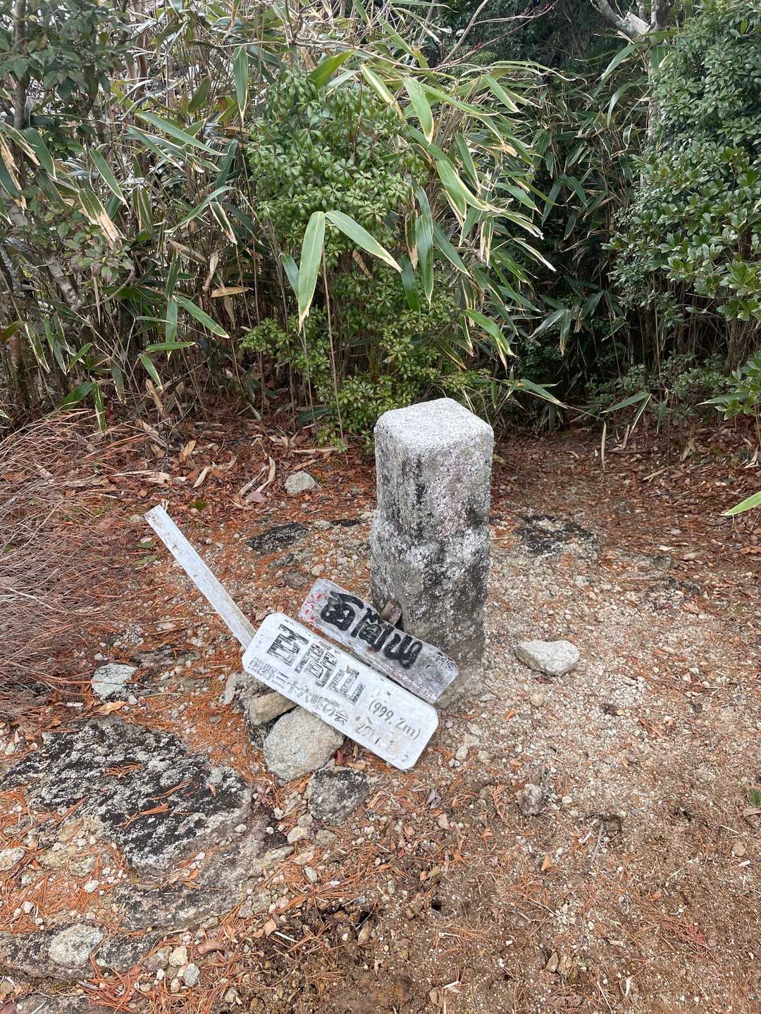 百間山てっぺんの三角点