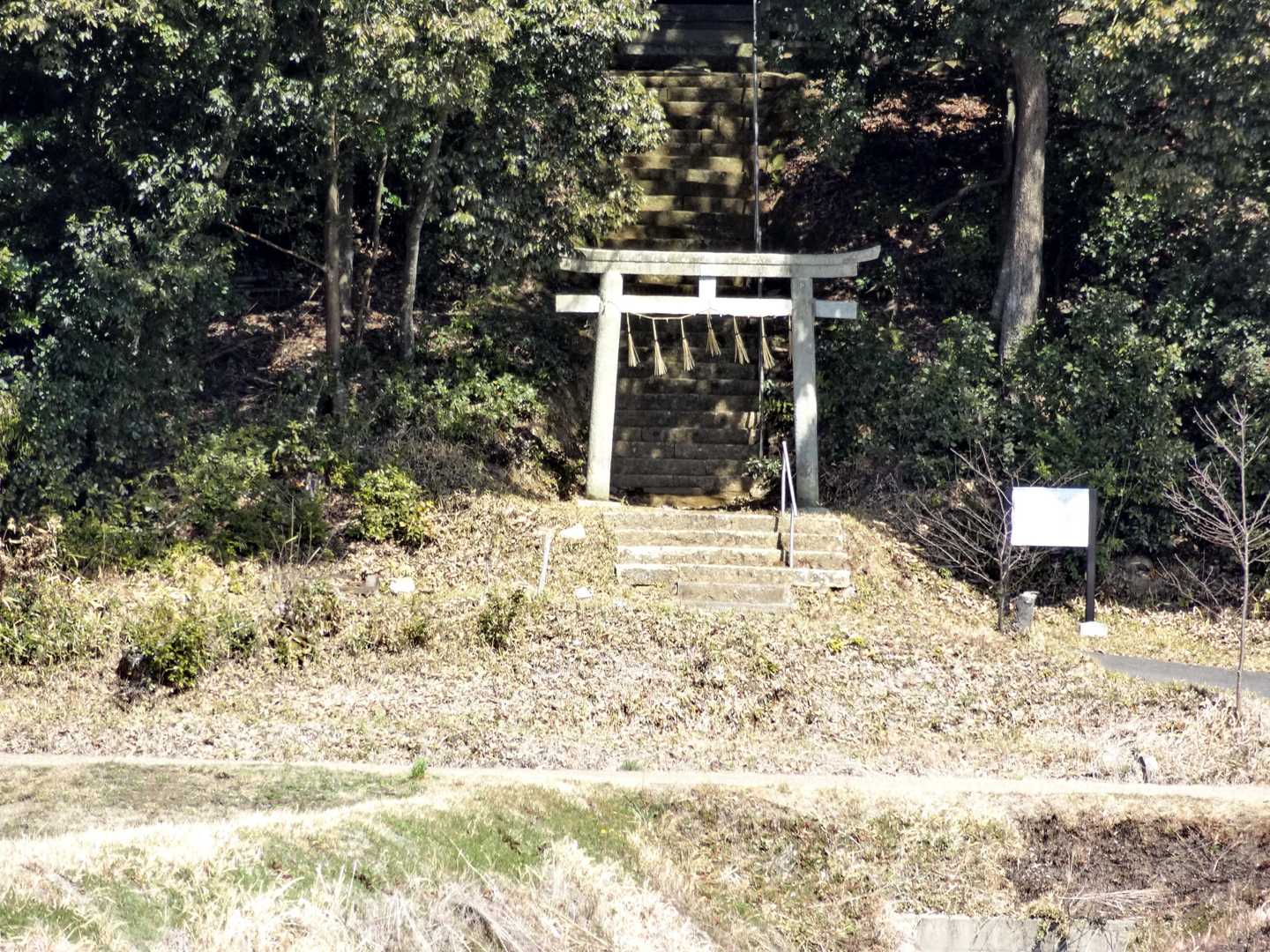 つい、足が止まって撮影した春日神社⛩️