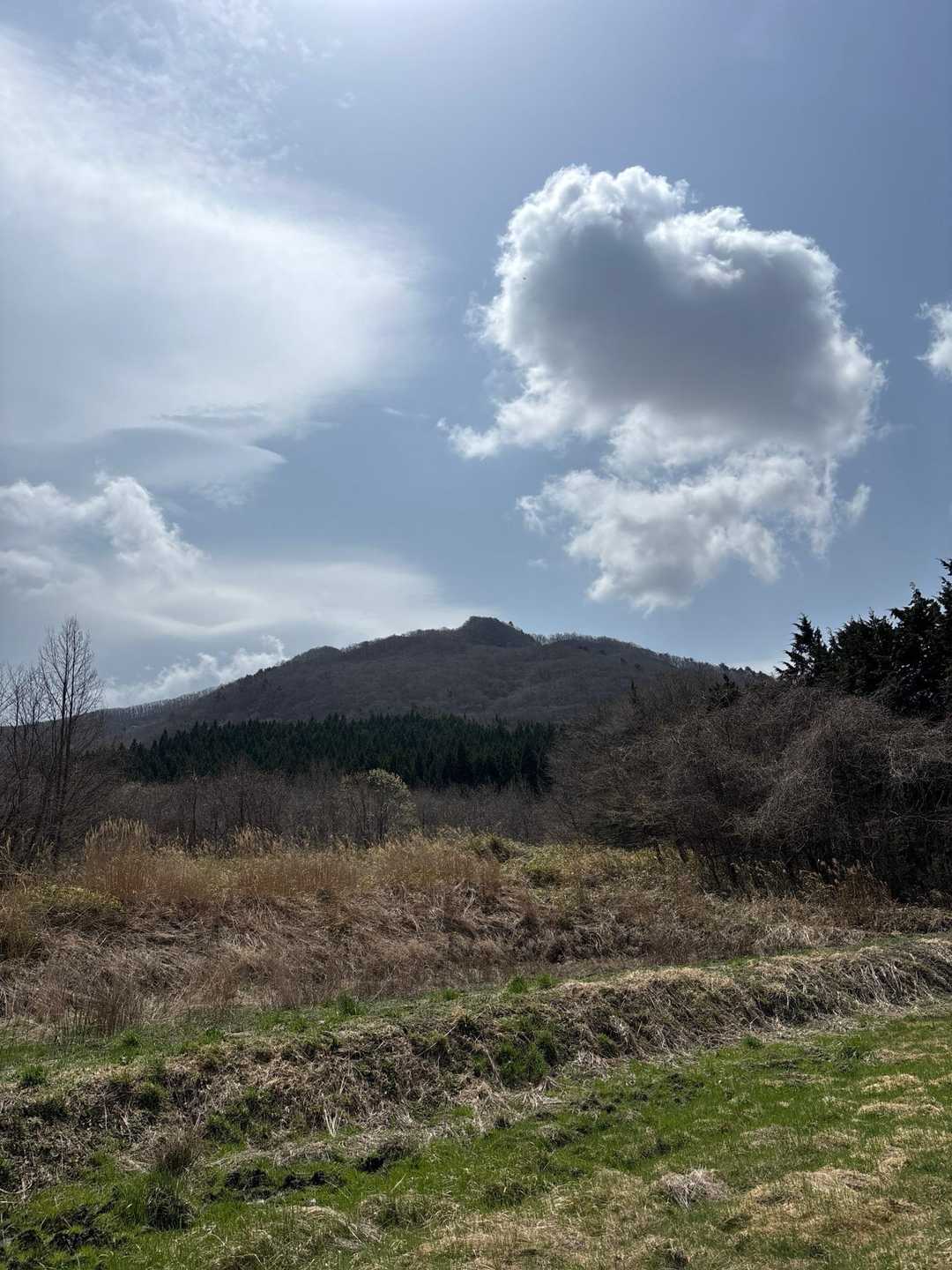 こちらから見る鎌倉岳