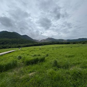 ほんの少し、雨が降っただけで、レインもほぼ、いらない程度でした。ラッキーでした🎵