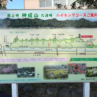 今日のコース👣