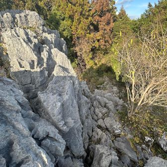 ここを通って帰ります