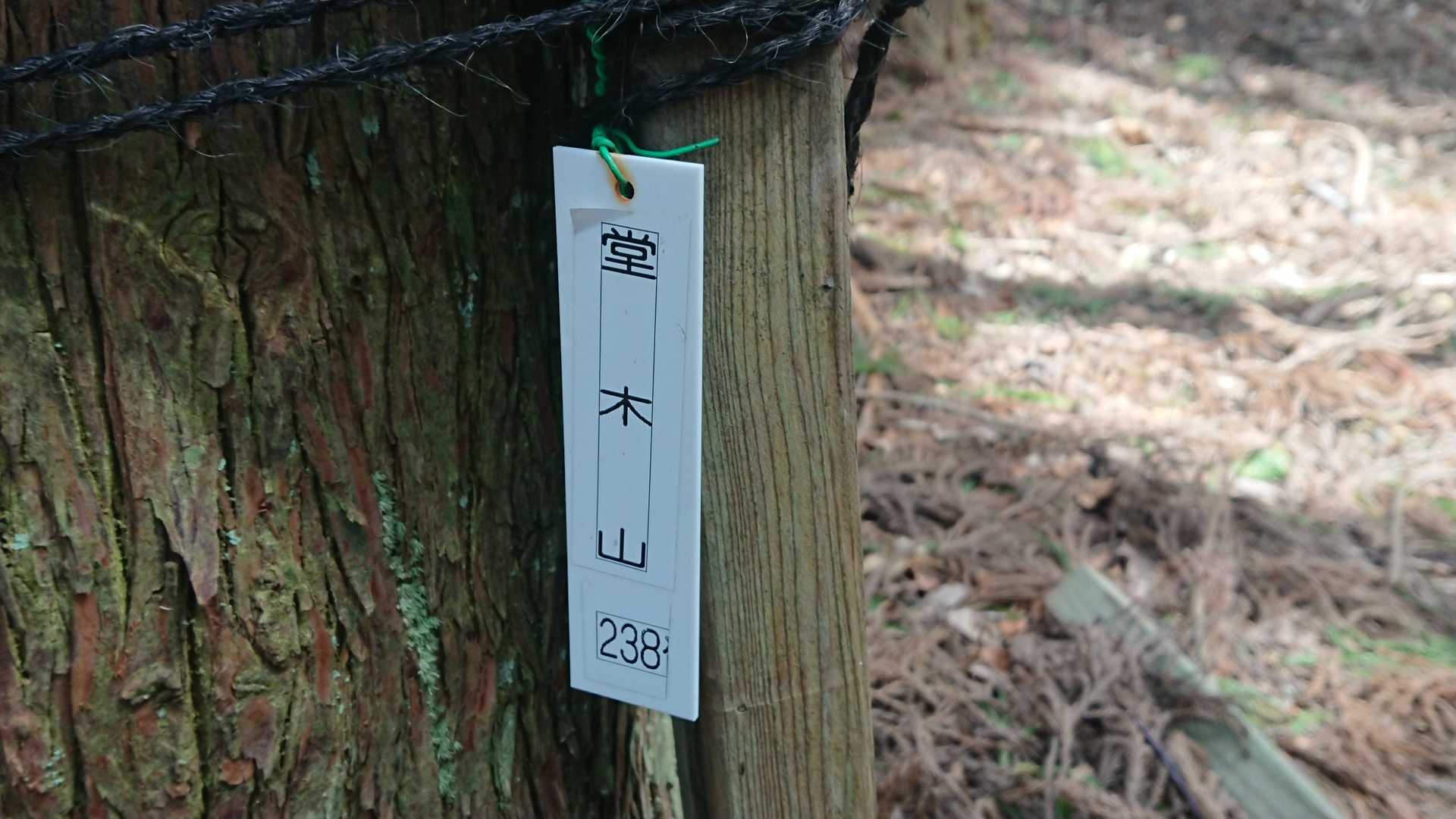 見落としそうな堂木山⛰️