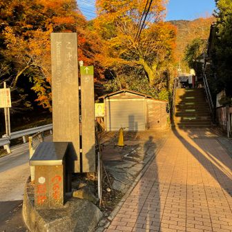 合流して、こま参道から出発するよー👥
レッツゴー⤴️