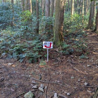 分岐。どっちに進んでも良いらしい。今日は右に進みました。