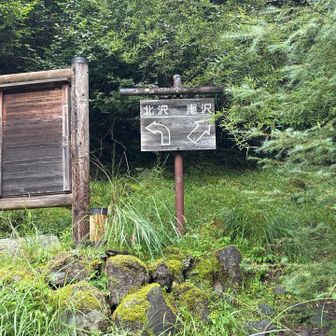 行きは南沢コースで。