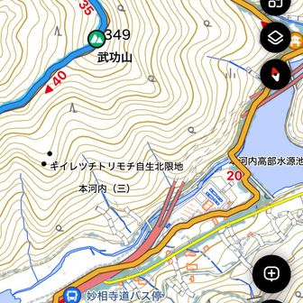 キイレツチトリモチ自生地あるやん😳