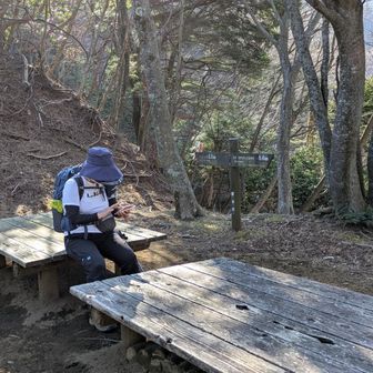 沢から唐沢峠へ登ってきました。