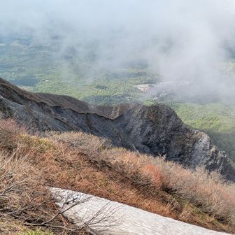 別山さん🦣🦣🦣