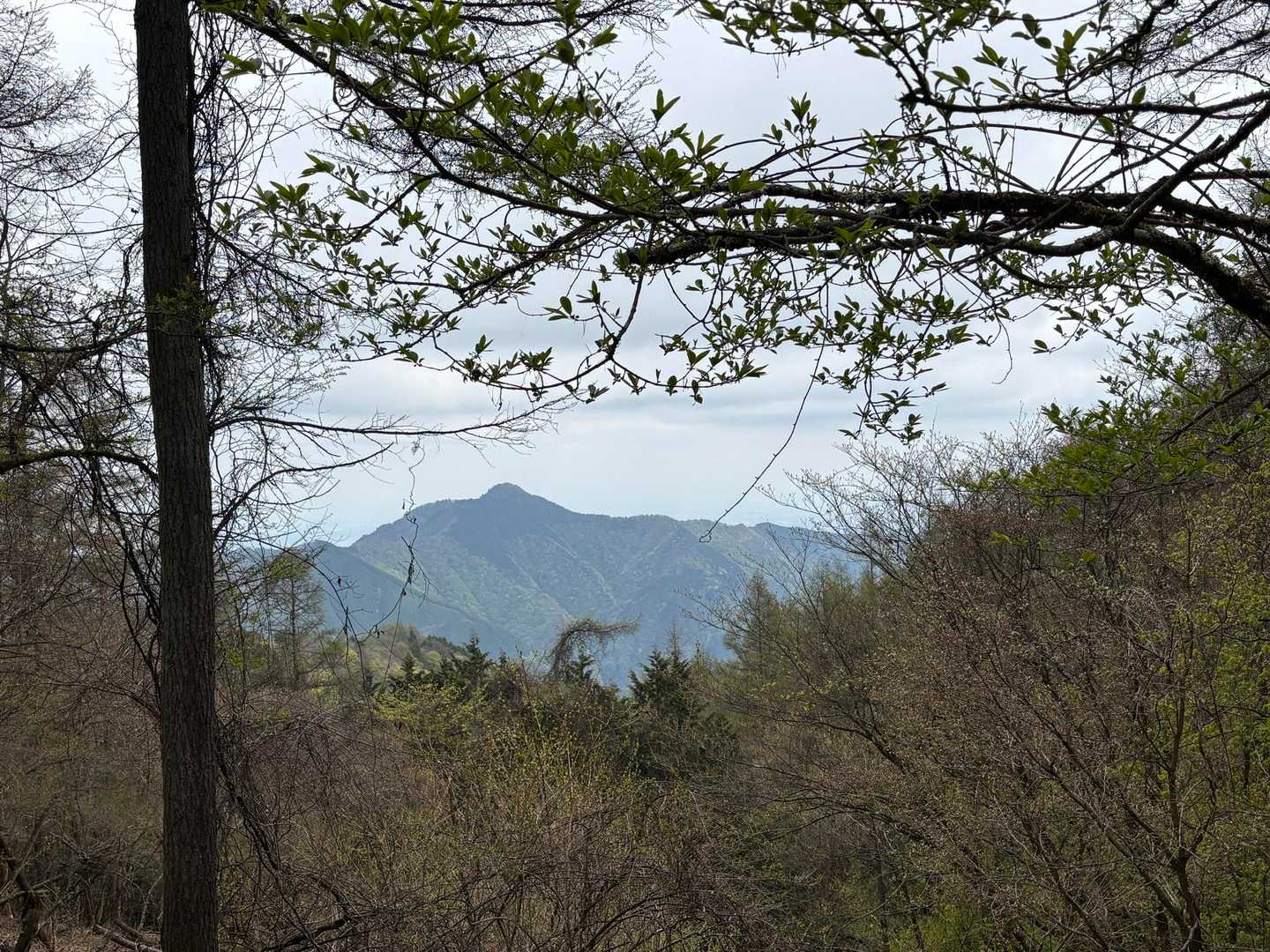 大岳山