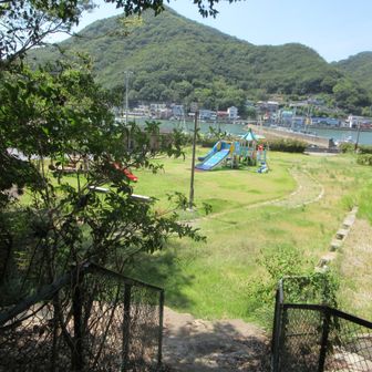 公園に出ます