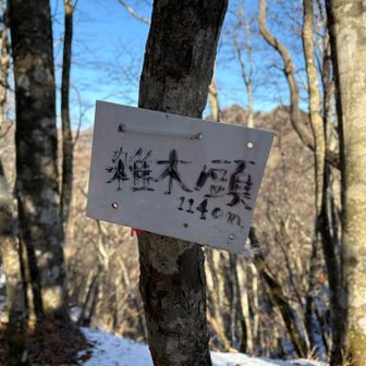 山頂標識こっちにもあった！
こちらも消えかかっていました