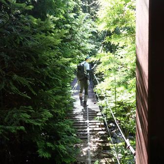 今では退屈に感じるなんて、