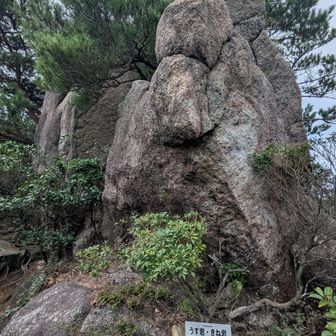 うす岩🪨きね岩🪨
ココの下りも急勾配でキツかった🥵前はココをヘロヘロになって登ったのを思い出しました。
