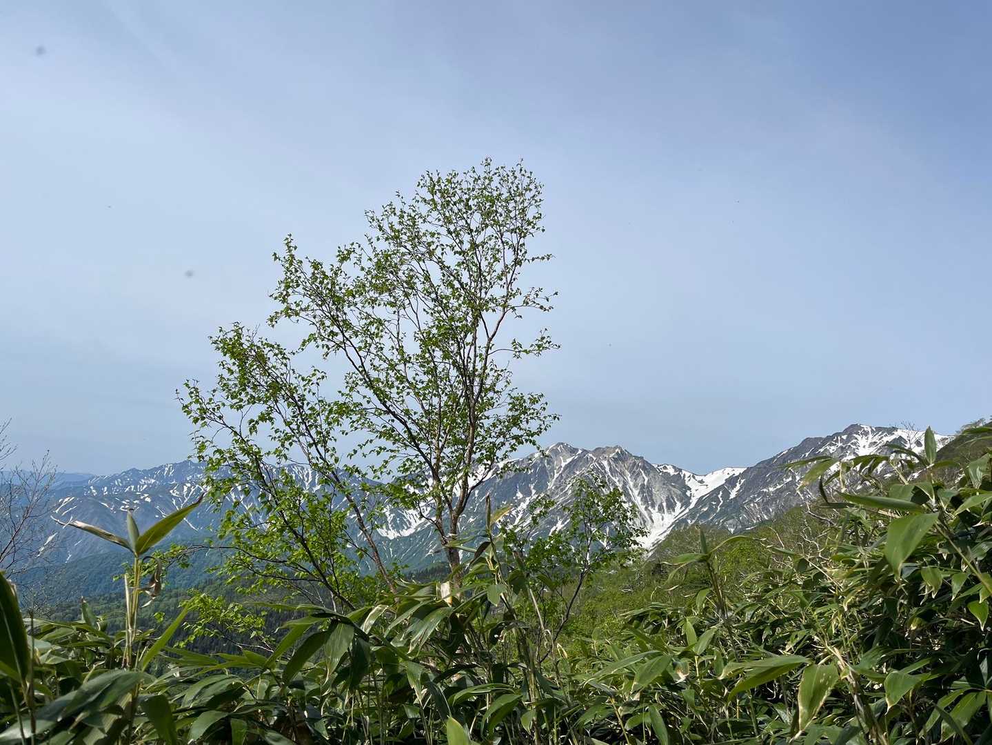 栂池自然園の登山口 往復コースの写真